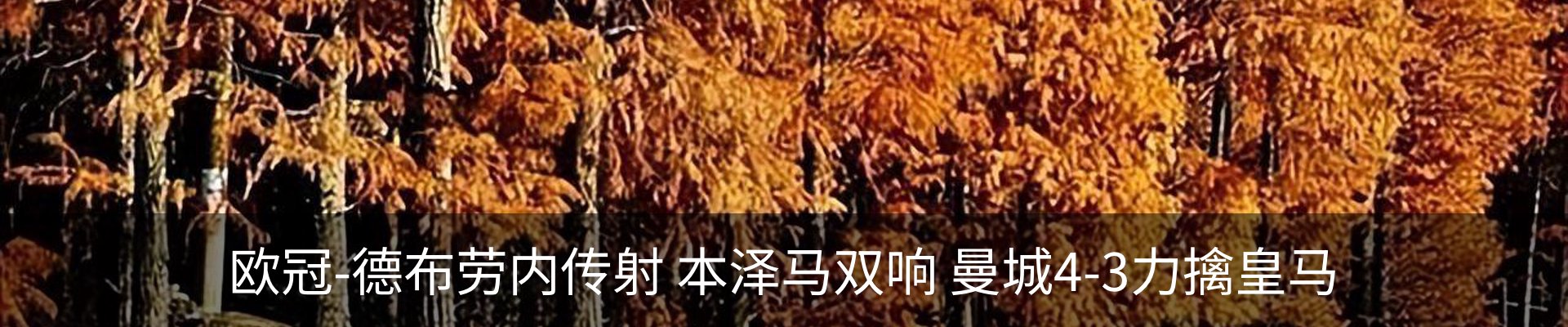 内页banner